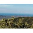 rustico con terreno - Sant Anna di Lode - Sant Anna  centro