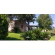 Villa con 8300mq.di giardino - Olbia - San Pantaleo
