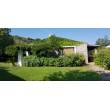 Villa con 8300mq.di giardino - Olbia - San Pantaleo