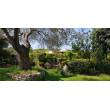 Villa con 8300mq.di giardino - Olbia - San Pantaleo