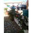 casa singola su tre livelli con giardino - Posada - Sas Murtas